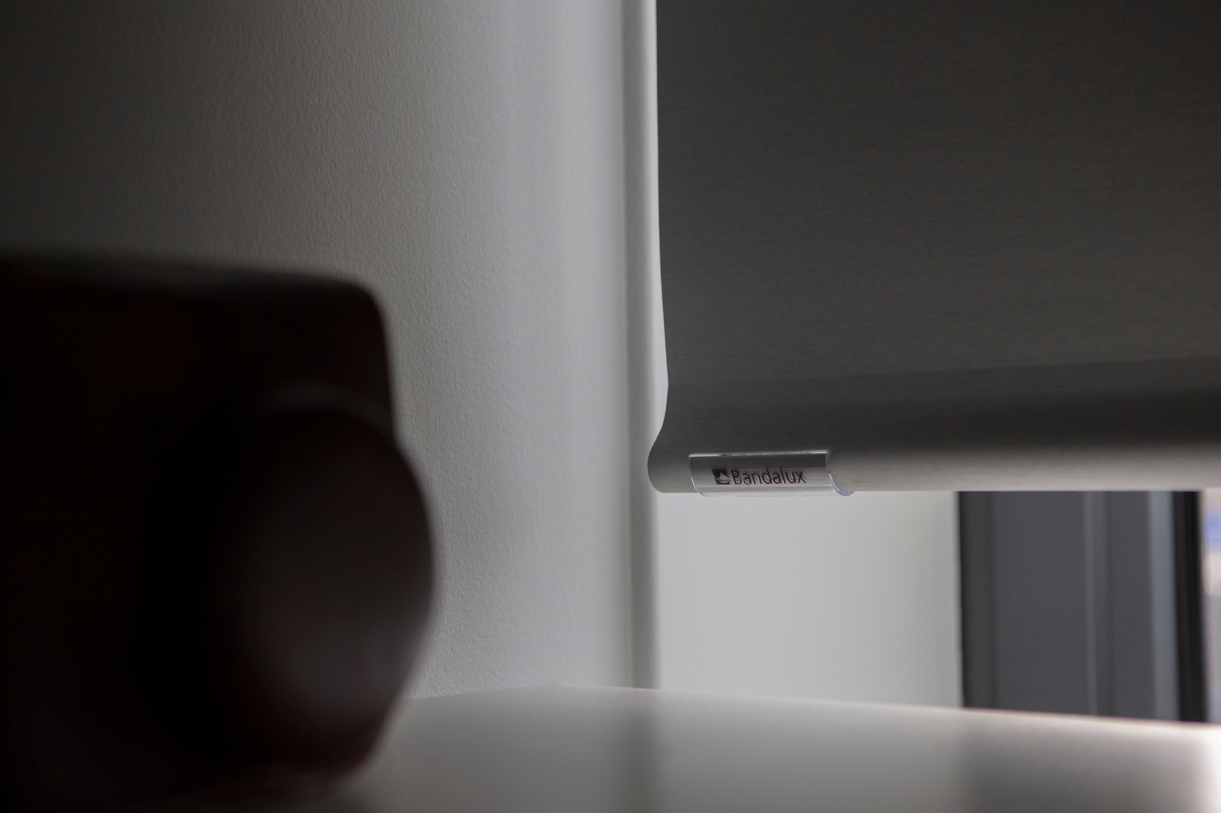 Roller Shades in DC Van Hall Building