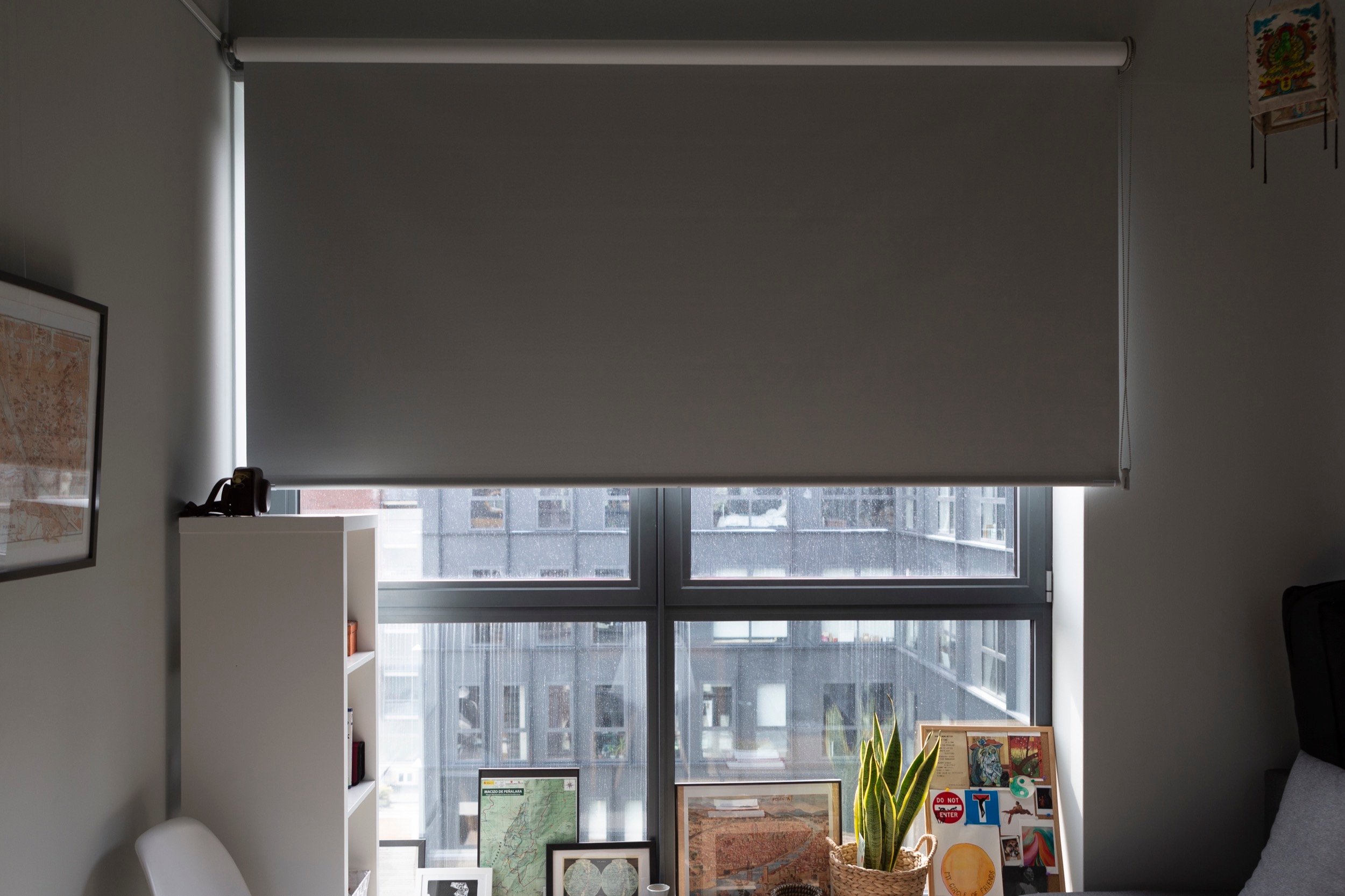 Roller Shades in DC Van Hall Building