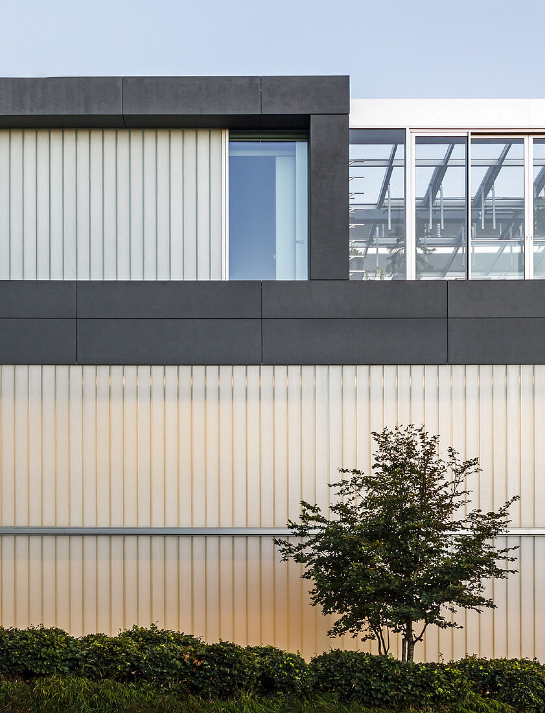 Profiled Glass in Brighton College