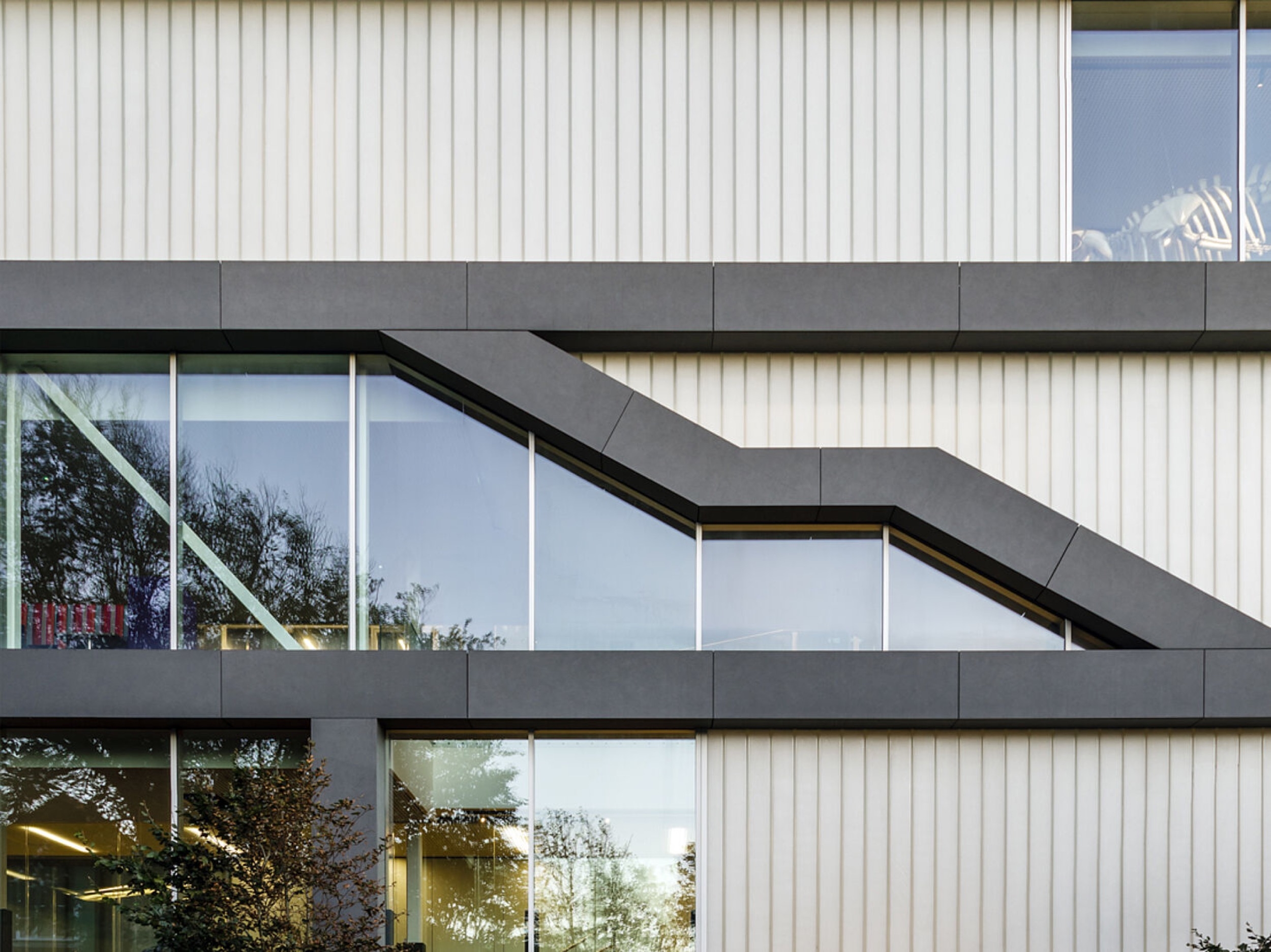 Profiled Glass in Brighton College