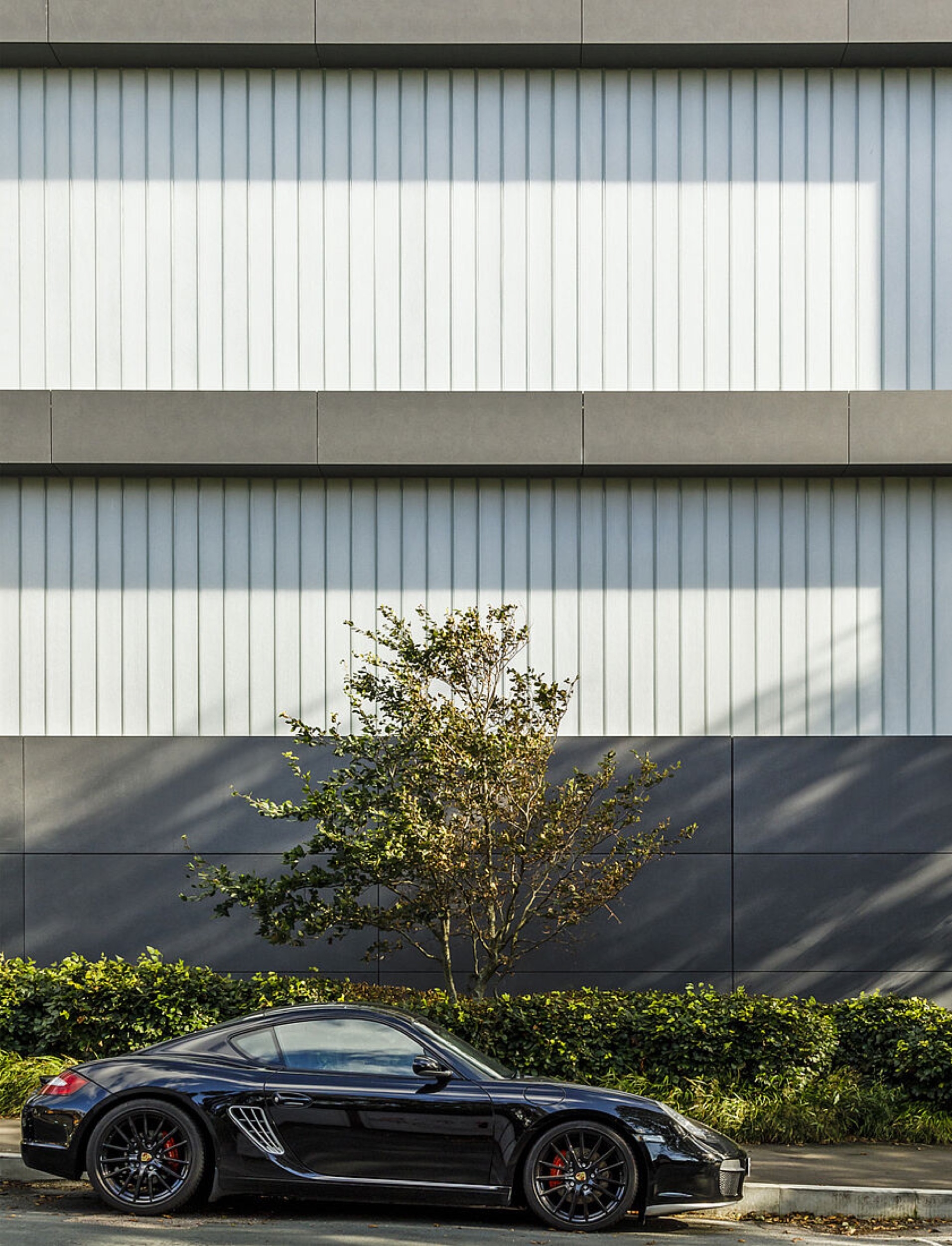 Profiled Glass in Brighton College