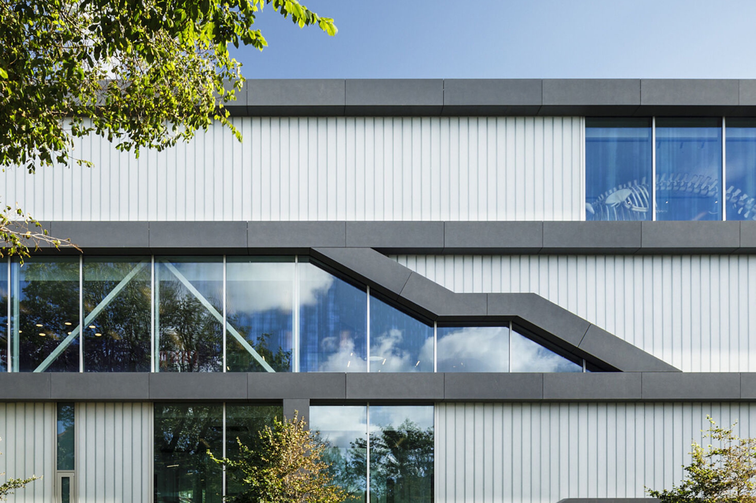 Profiled Glass in Brighton College