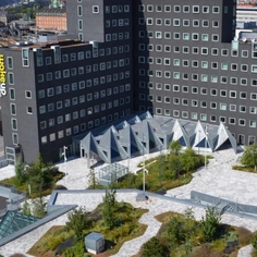 Guía para diseñar techos verdes transitables