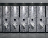 Urinal Systems