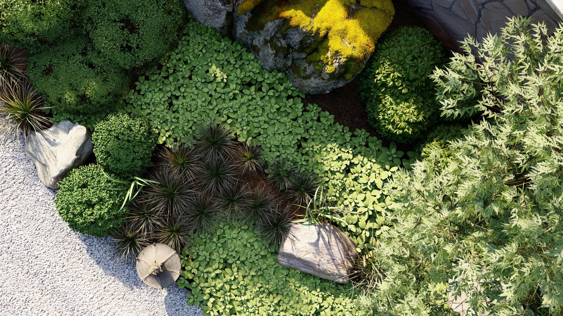 3D Rendering Software for Landscape Renders