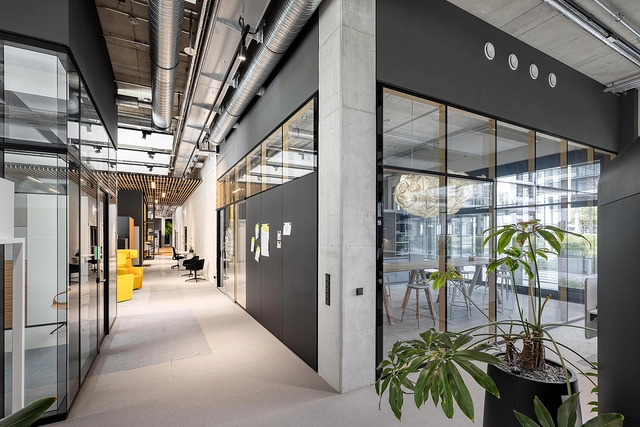 Wall Partition Systems in Open-Plan Workspace