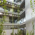 Webnet System for Green Courtyards