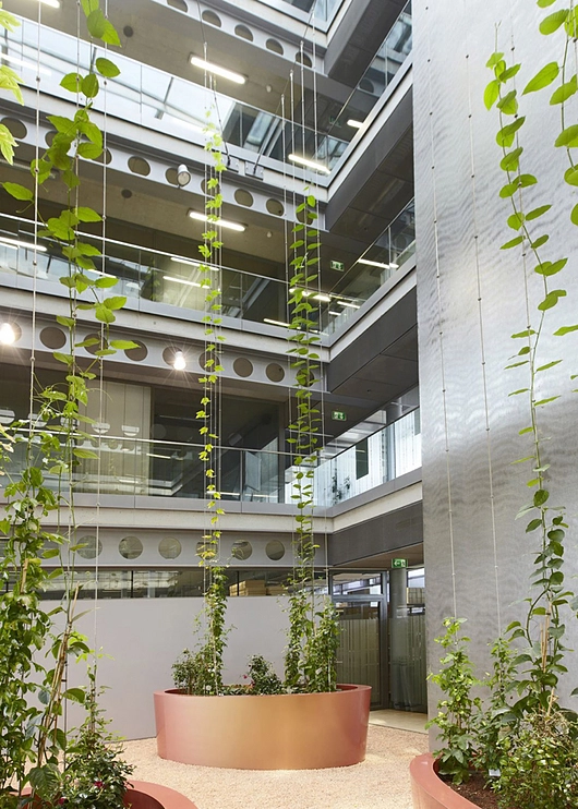 Webnet system in green courtyards and atriums