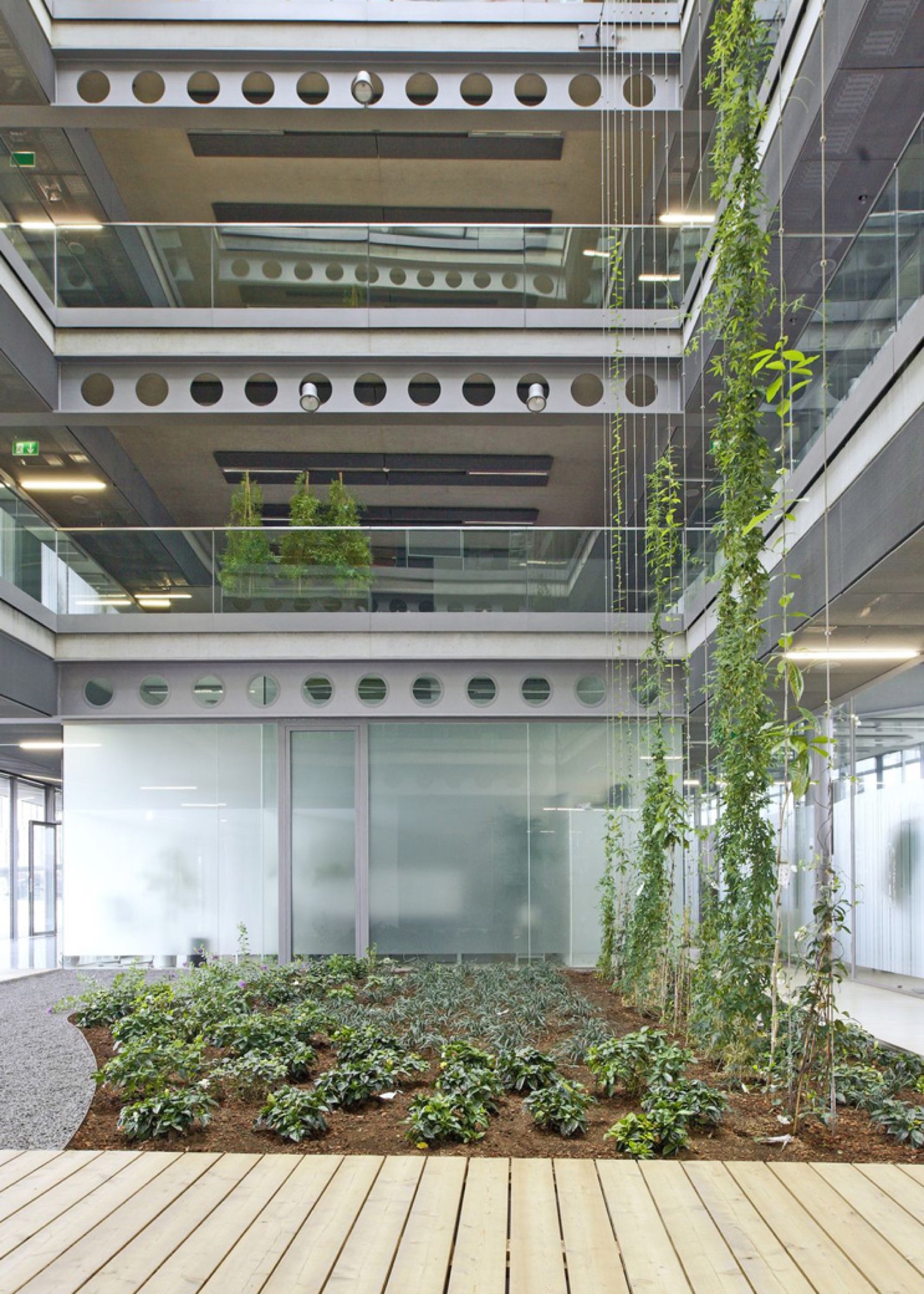 Webnet System for Green Courtyards