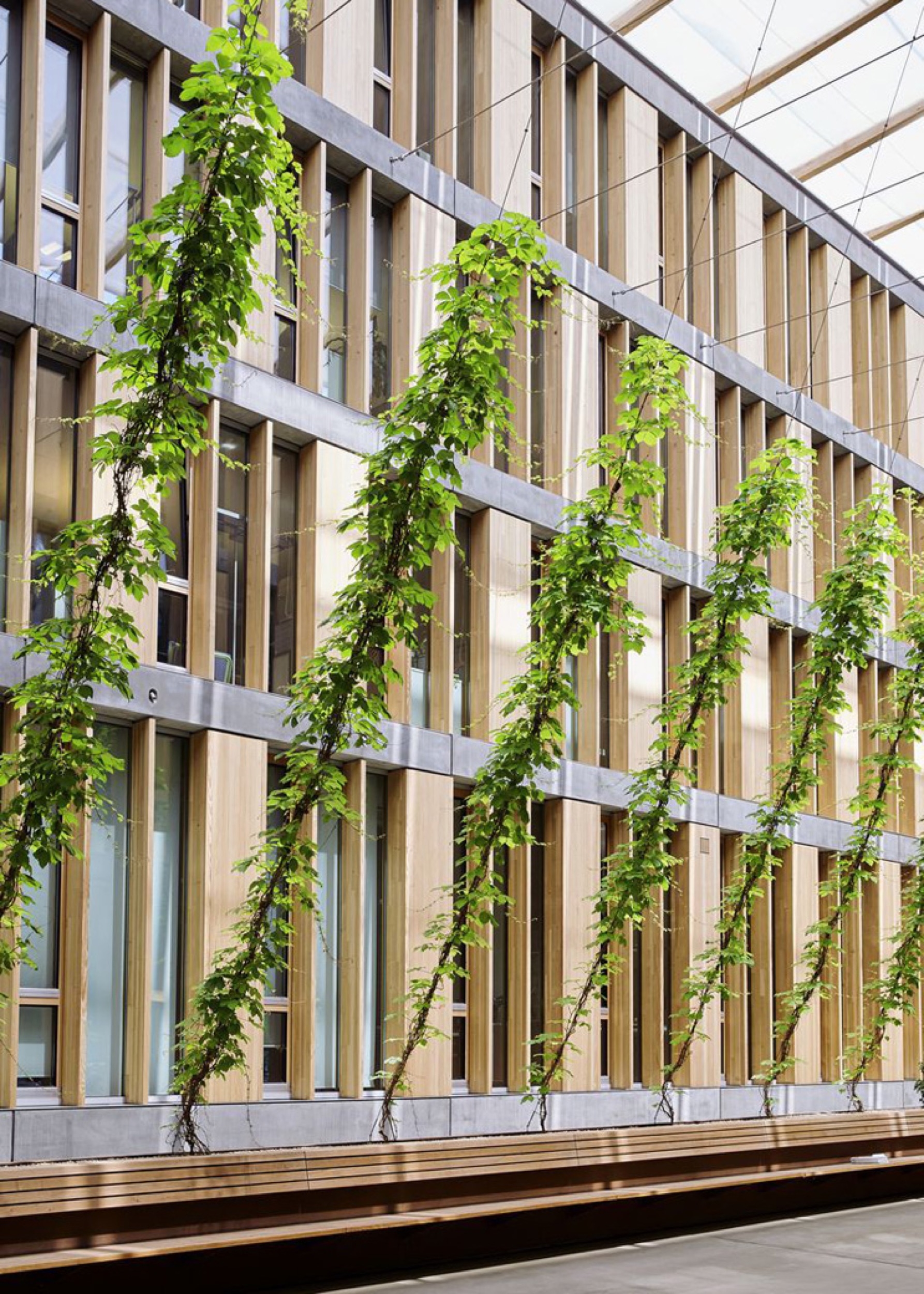 Webnet System for Green Courtyards