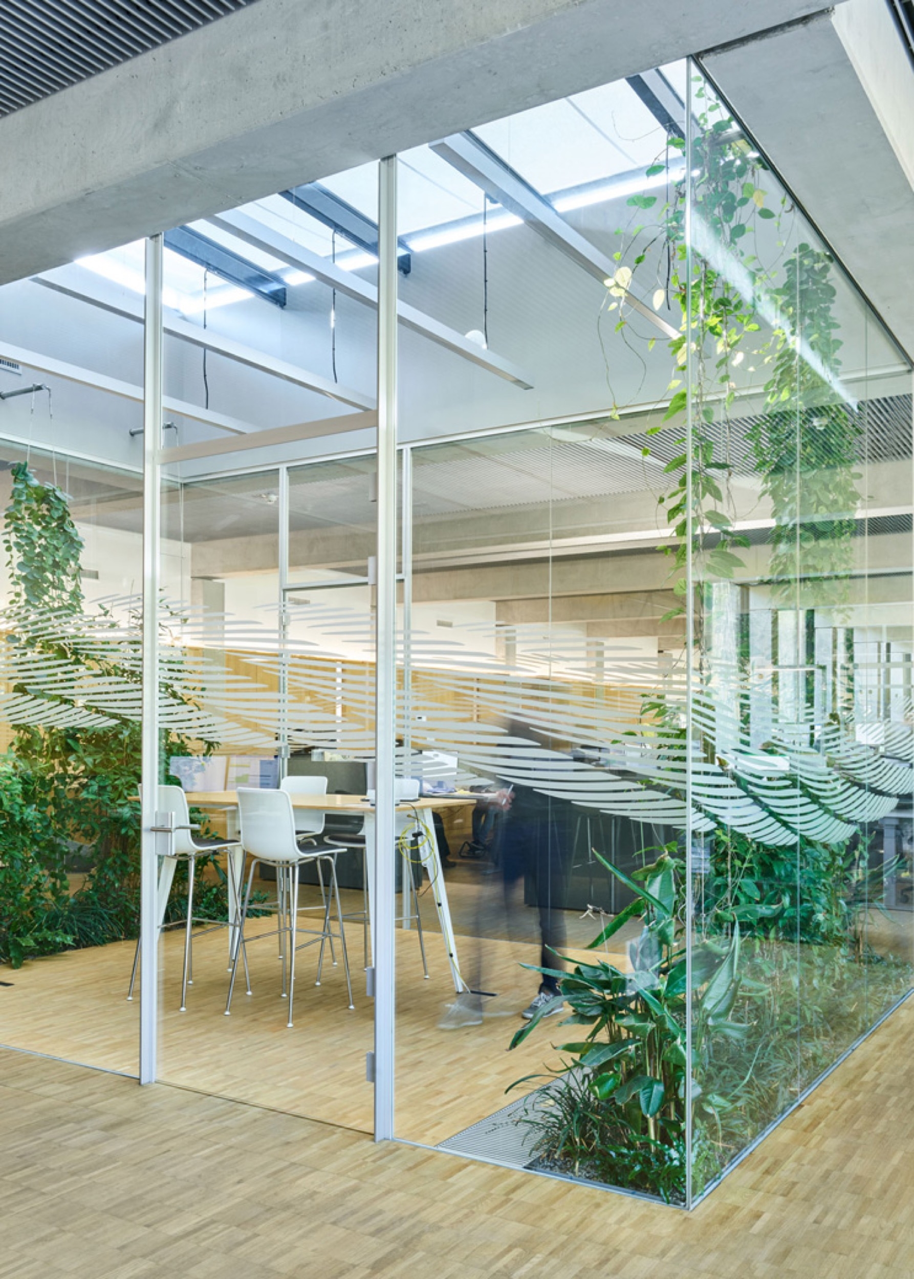 Webnet System for Green Courtyards