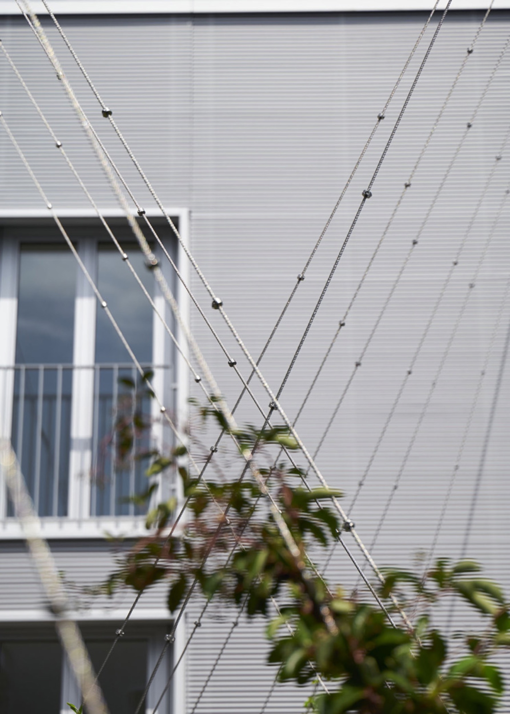 Webnet System for Green Courtyards