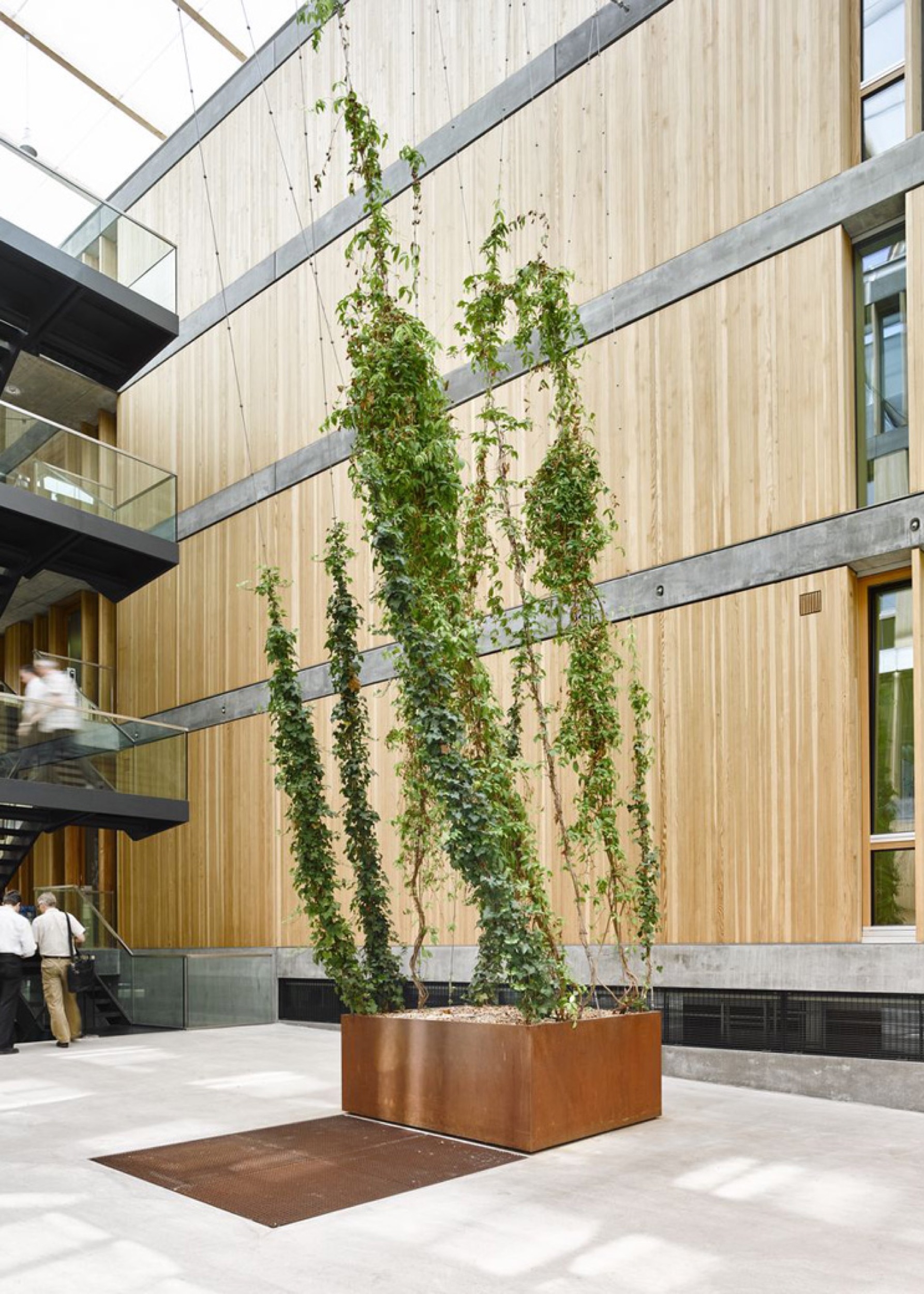 Webnet System for Green Courtyards