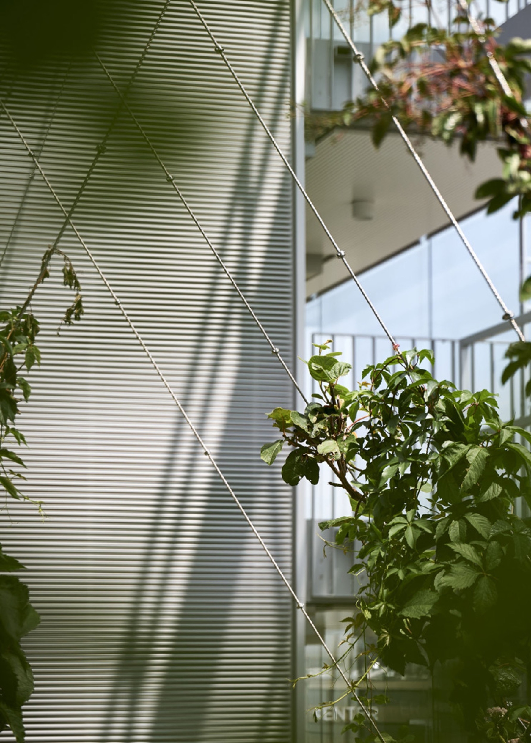 Sistema para espacios verdes en patios interiores