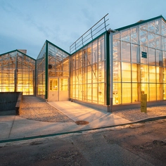 Greenhouse - Widespan