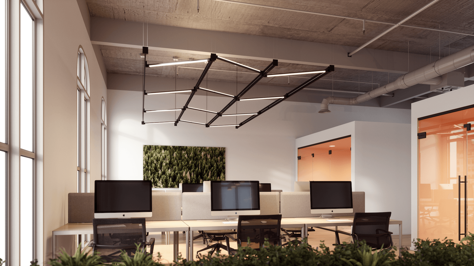 Suspended Lights - Arena