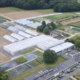 Venlo Greenhouse in ILVO Belgium