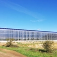 Venlo Solar Windows in Photovoltaic Greenhouse