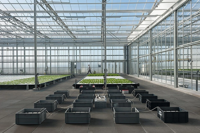 Venlo Greenhouse used to create the Inagro Agrotopia Research Center