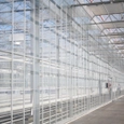 Greenhouse for Inagro Agrotopia Research Center