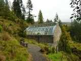 Glass Roof  in Benmore Botanical Greenhouse