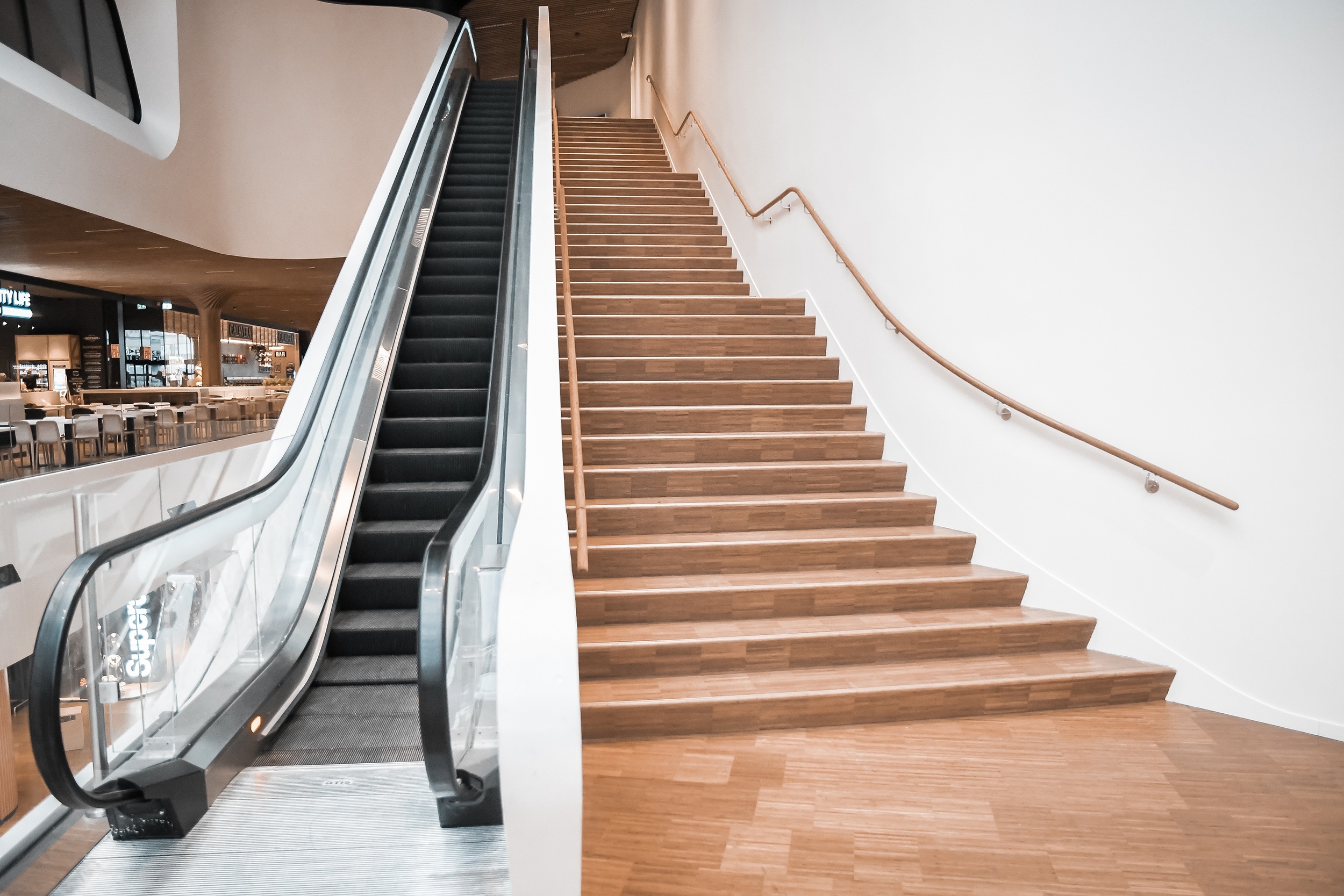 Indoor Bamboo Solutions in Shopping Center