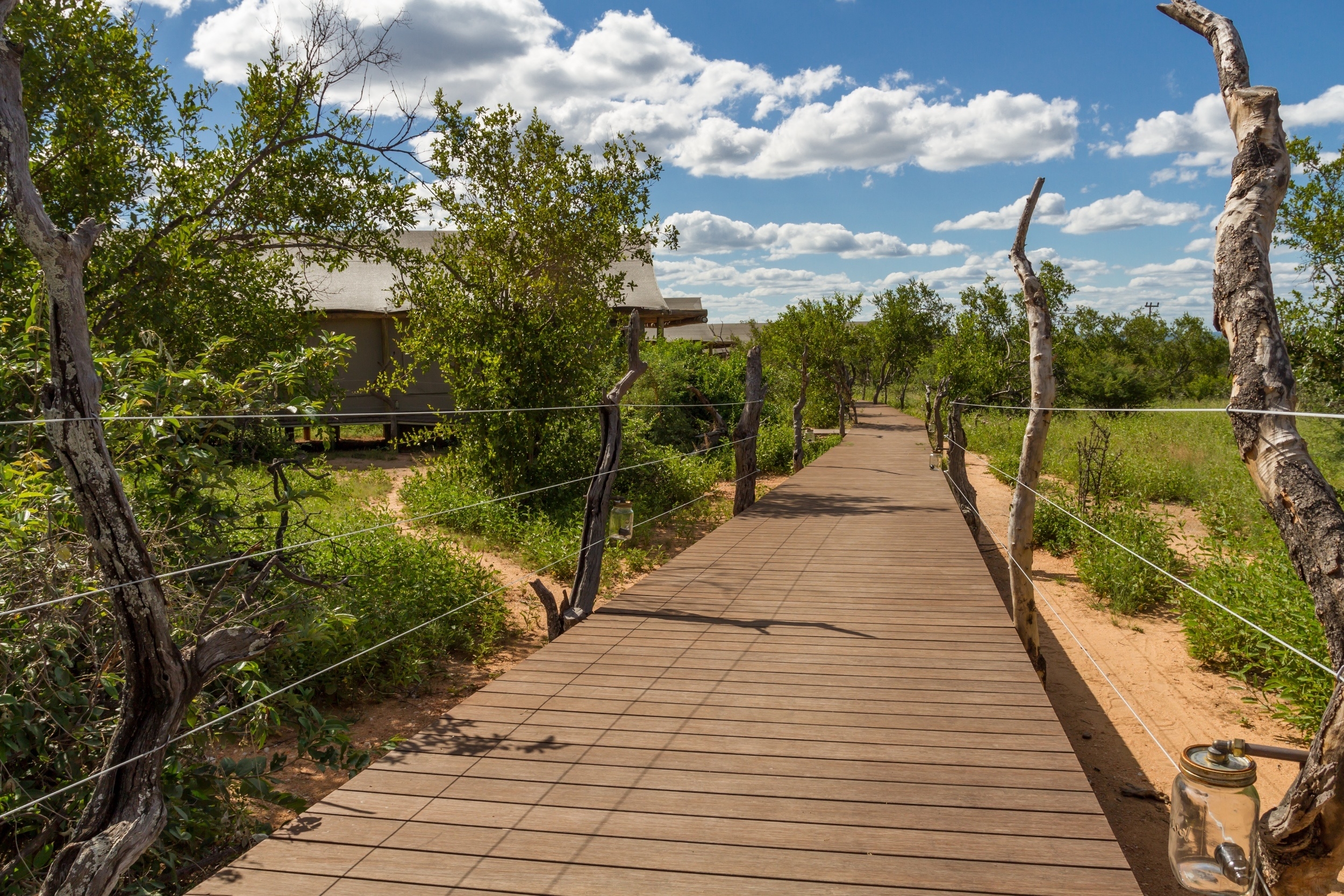 Outdoor Bamboo Decking Solutions in Safari Lodge
