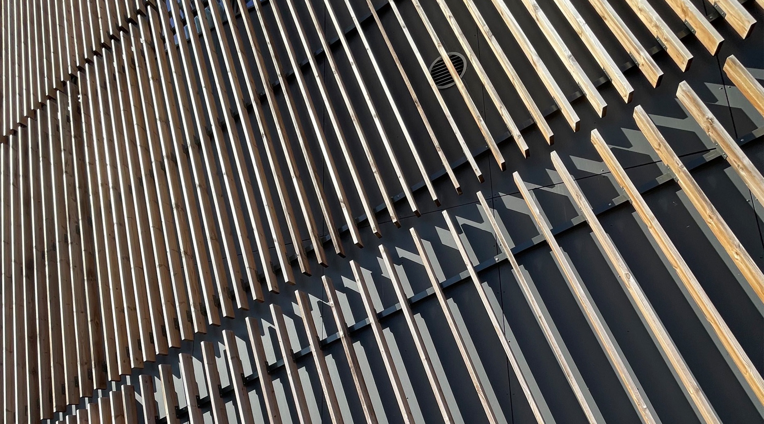 Revestimientos de madera nativa - ARTISAN