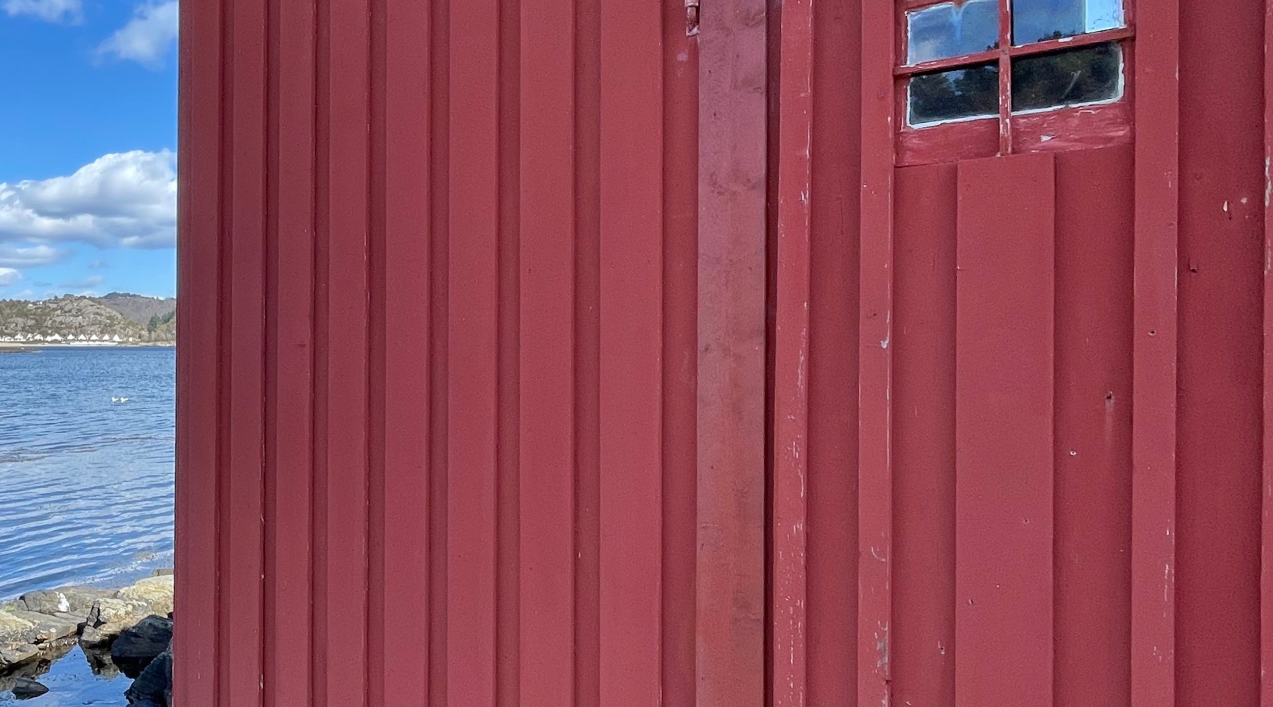 Revestimientos de madera nativa - ARTISAN