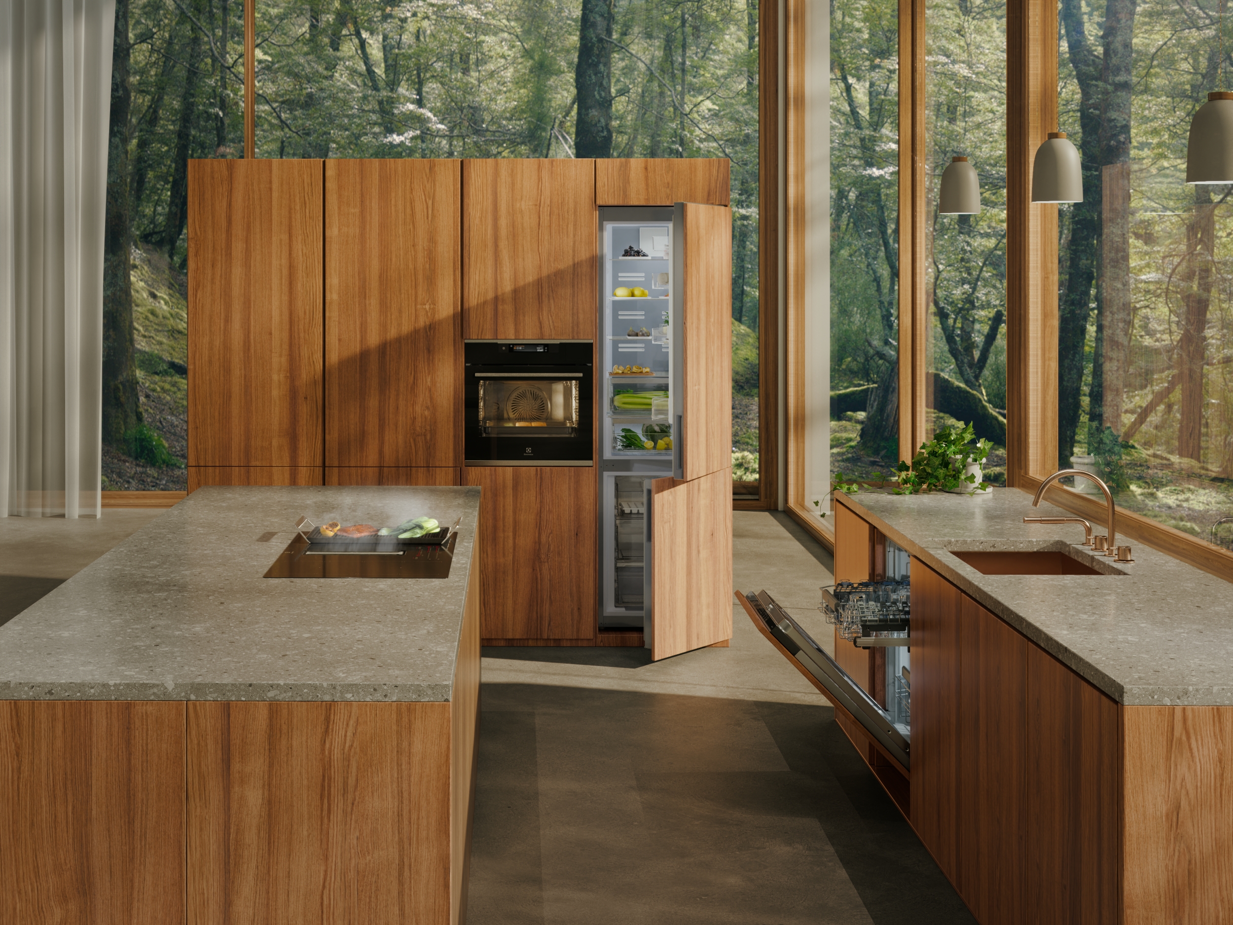 Kitchen Appliances - Electrolux EcoLine