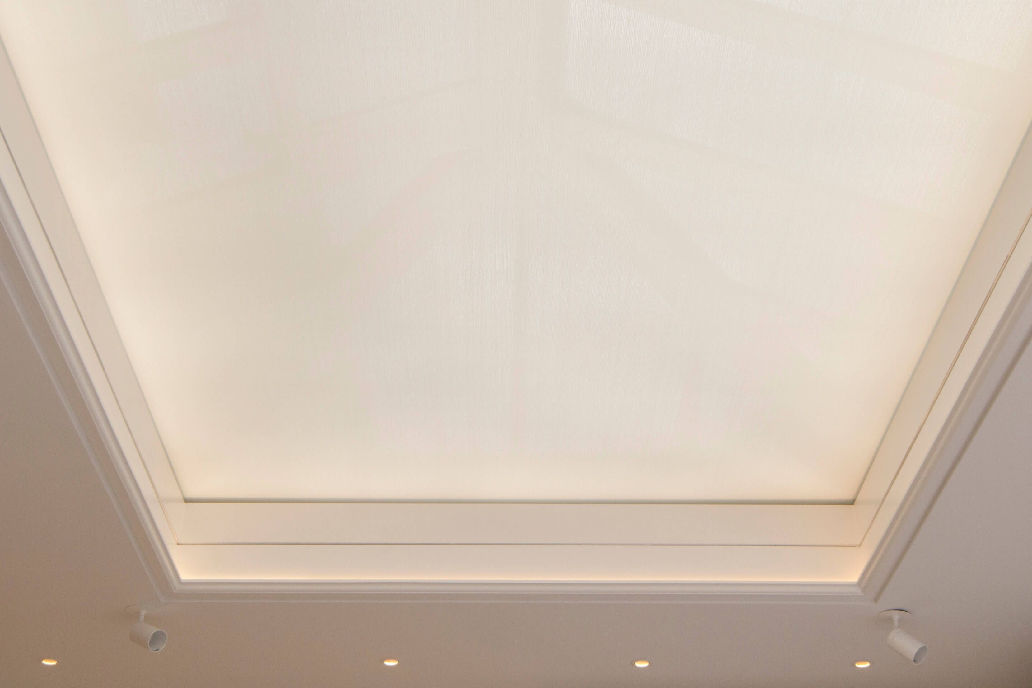 Internal Ceiling/Skylight Blinds