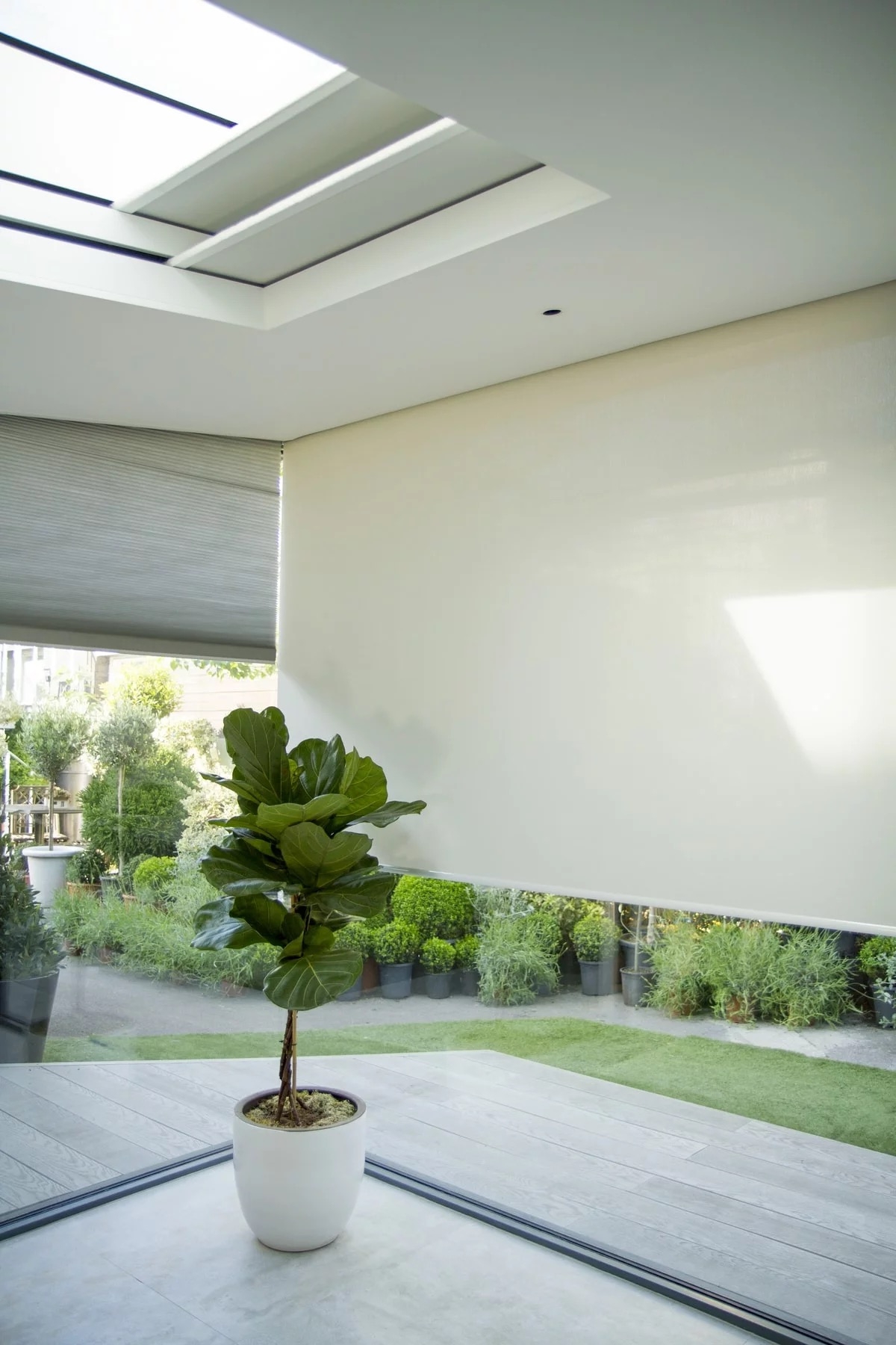 Internal Ceiling/Skylight Blinds