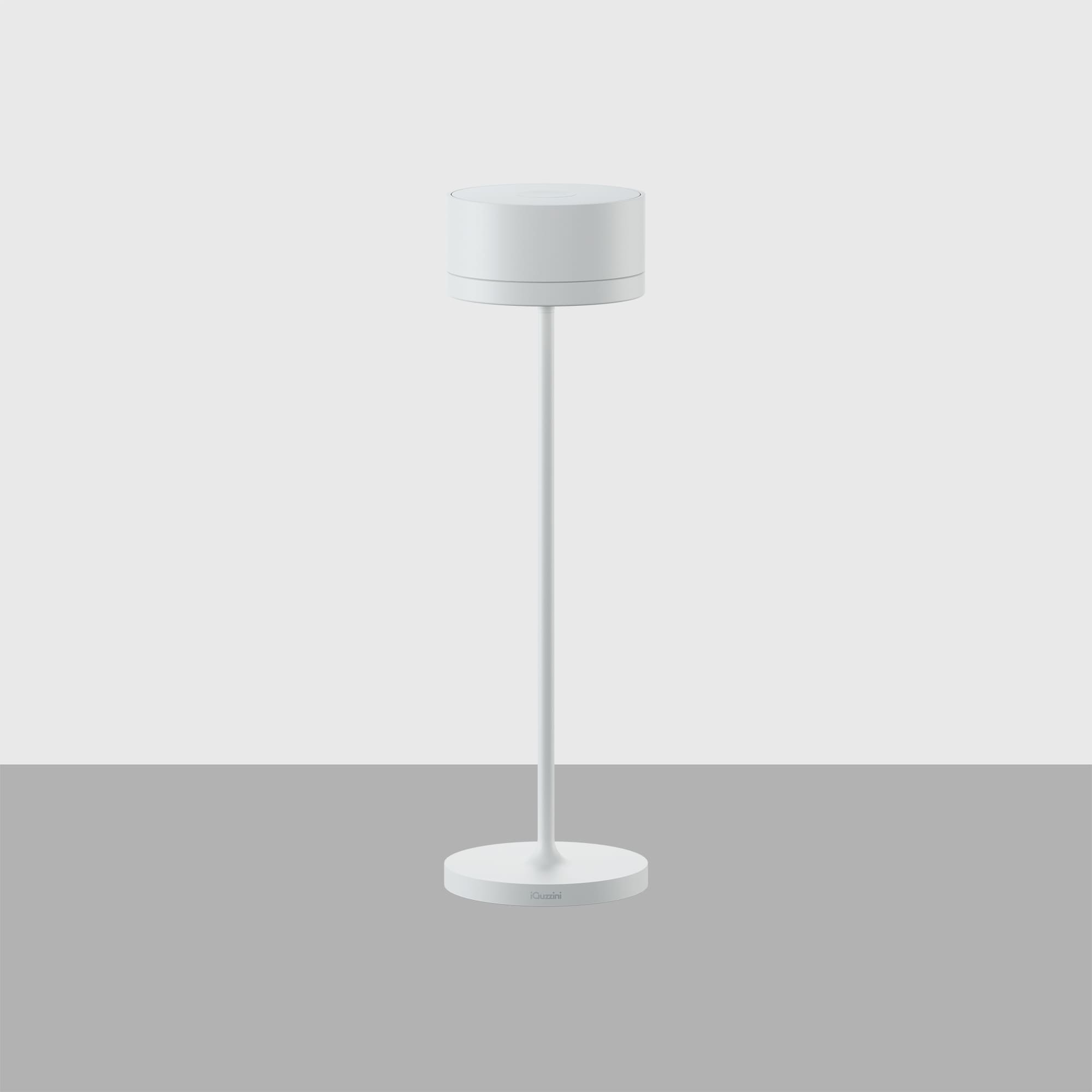 Table and Floor Lamps