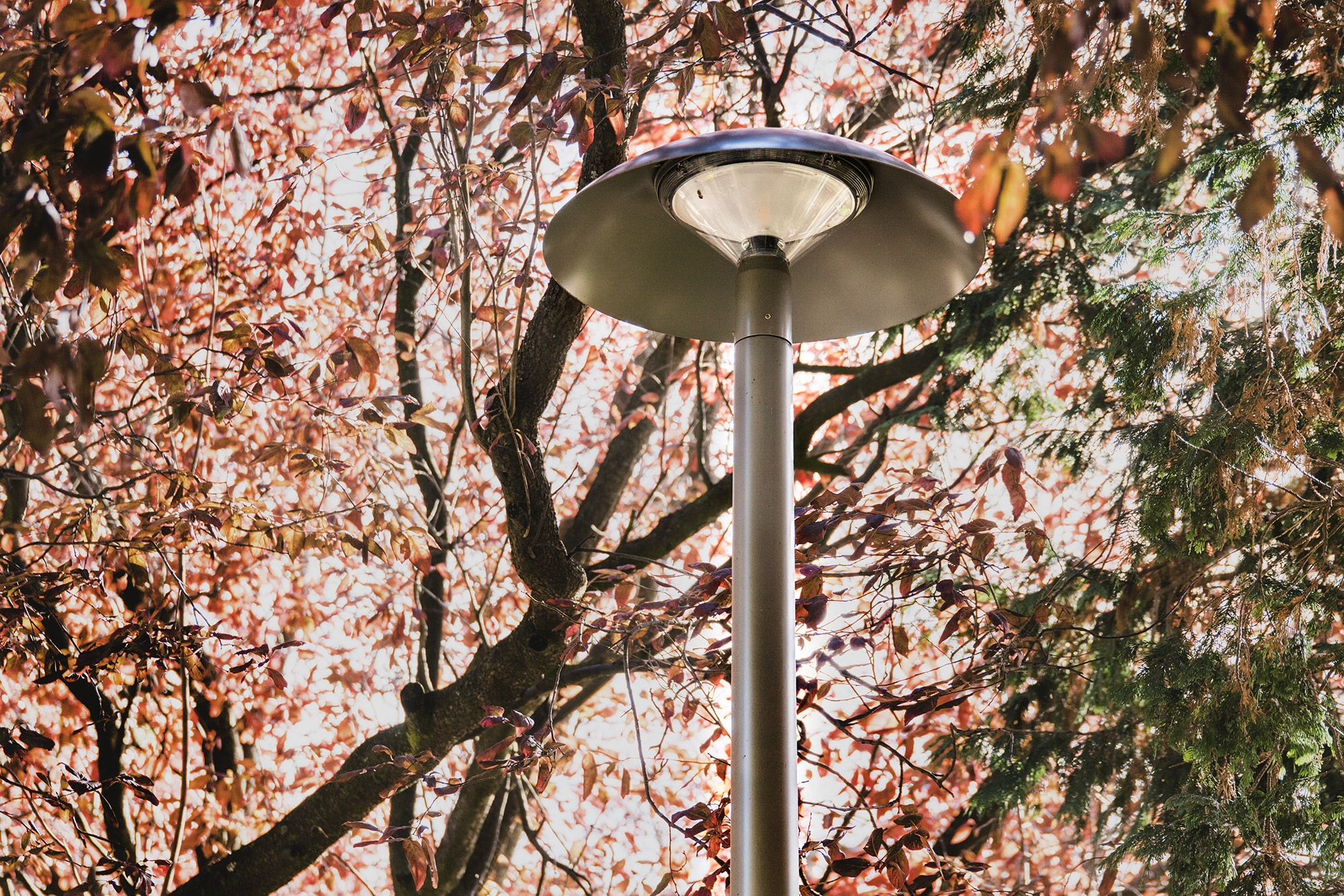 Pole-Mounted and Exterior Wall Luminaires