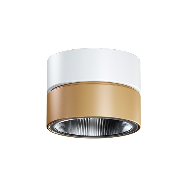 Wall, Floor and Ceiling Luminaires
