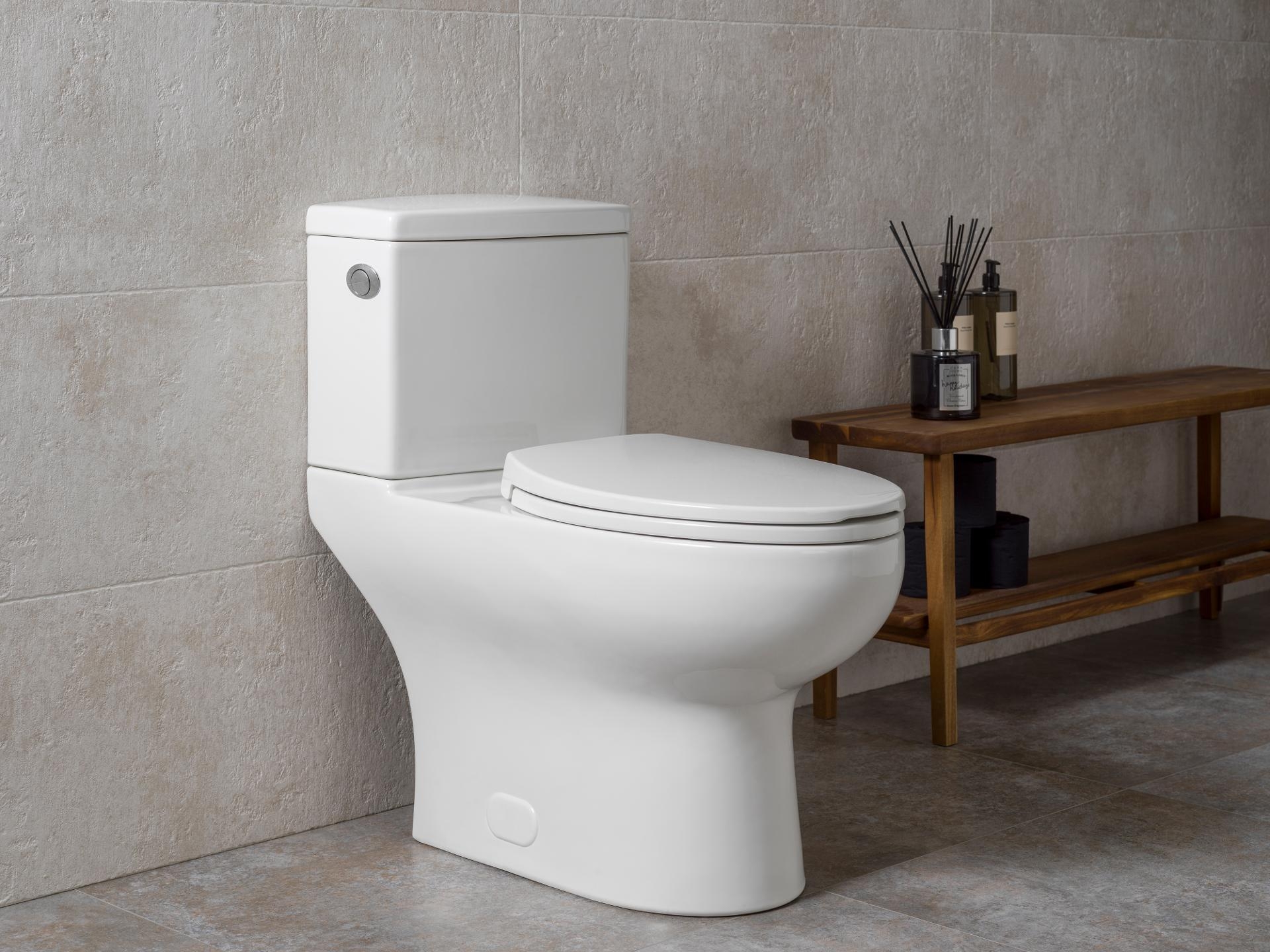 Sanitarios y urinarios