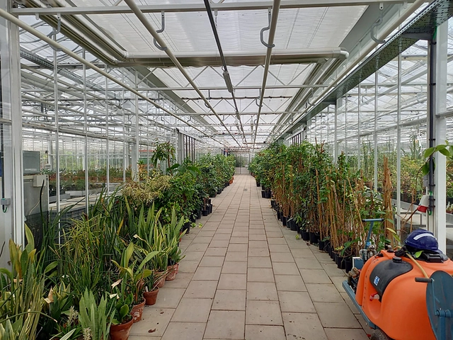 Customized Wide-span greenhouse used for a botanical garden