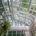 Botanical Greenhouse