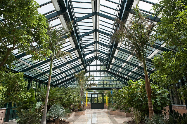 Customized botanical greenhouses from Deforche