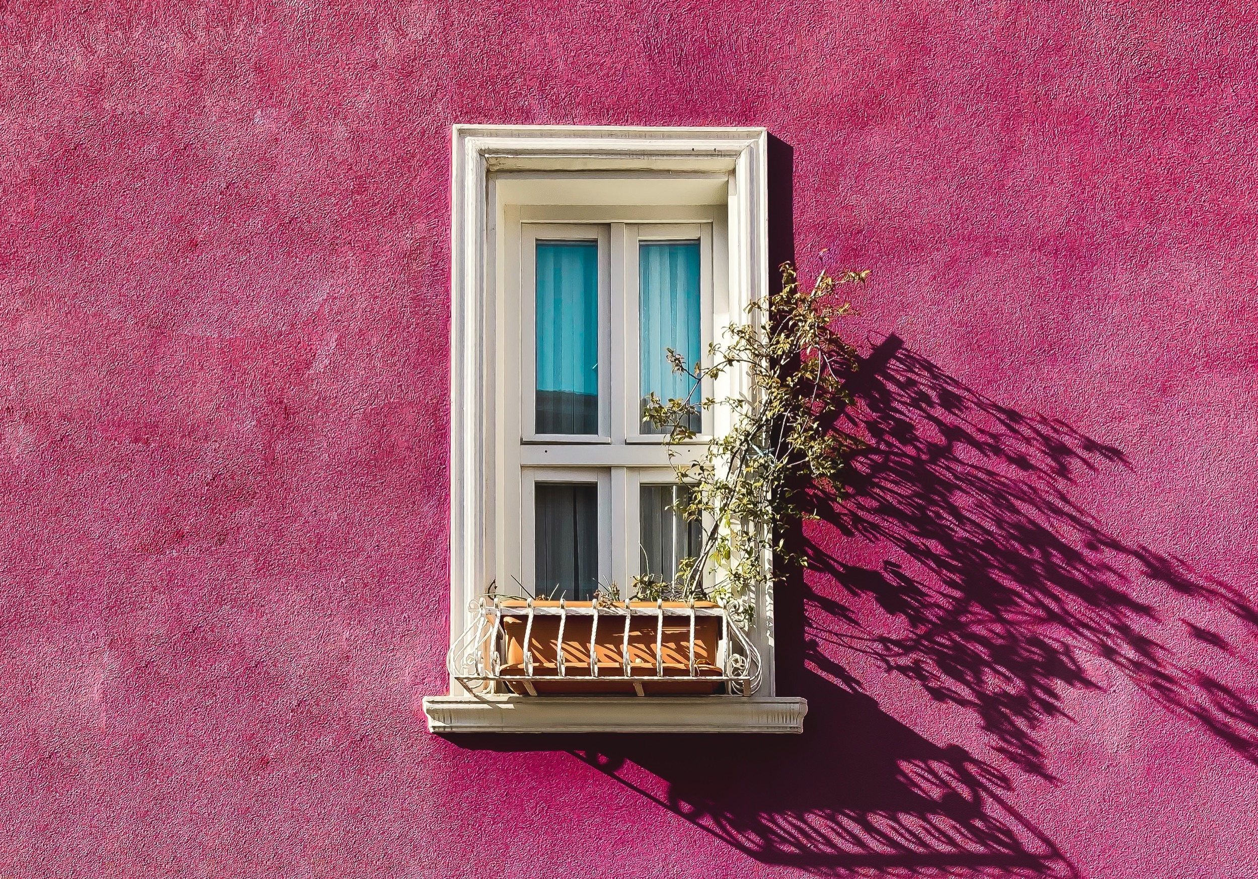 Pintura Arquitectónica - Paint by Wasser