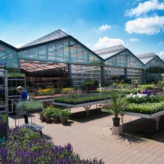 Widespan Greenhouse for Coppelmans Garden center