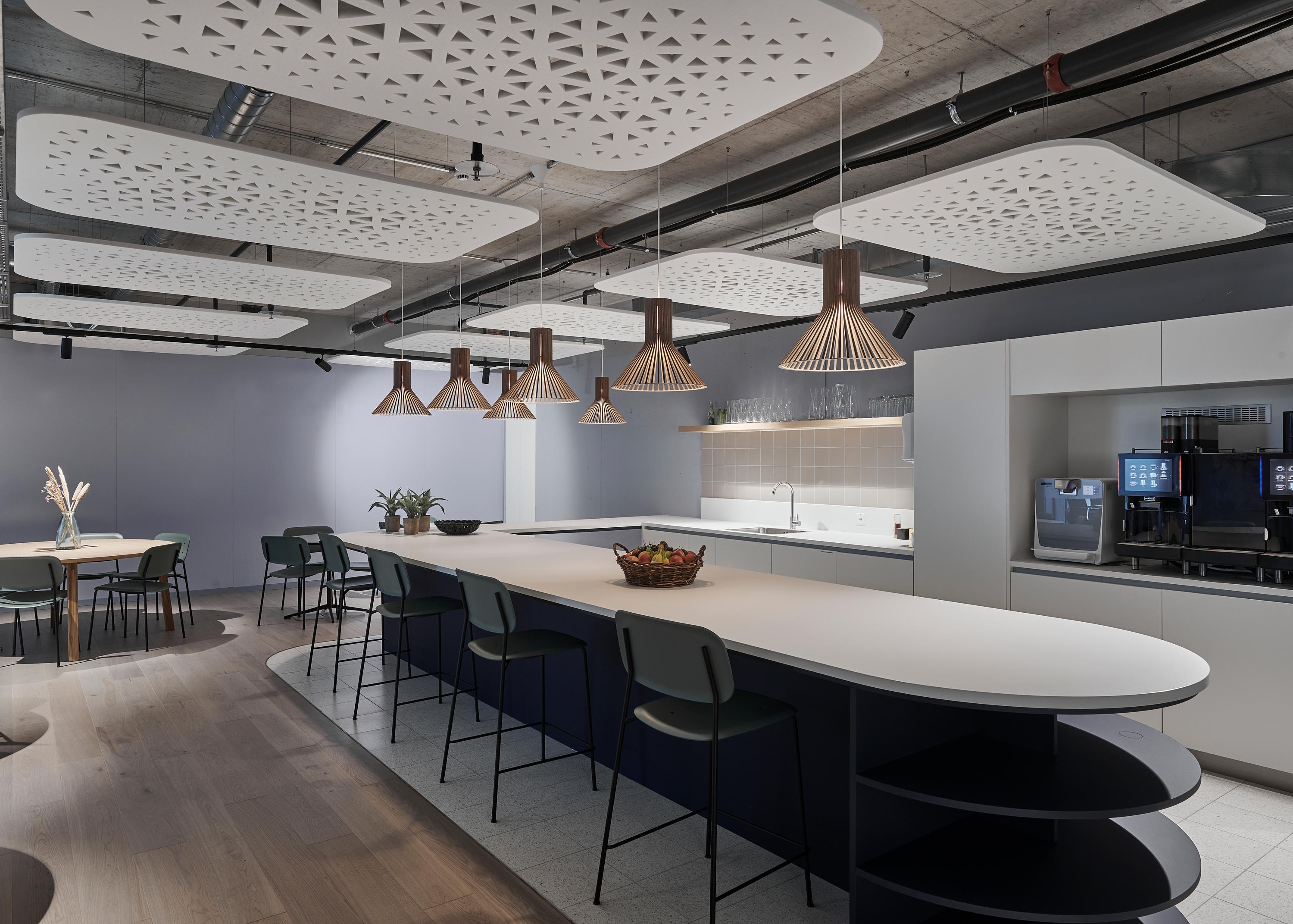 Acoustic Ceiling Panels