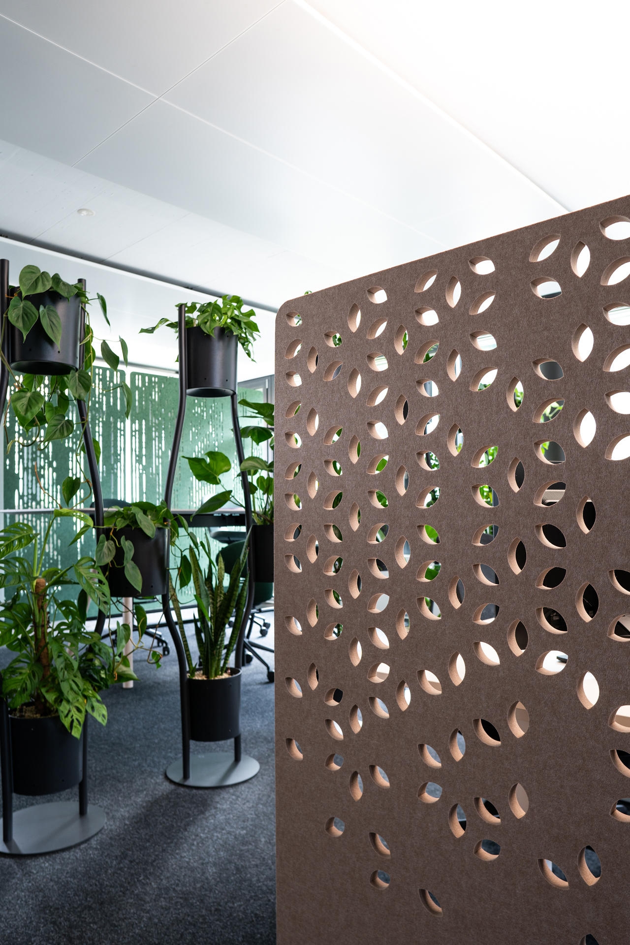 Standing Acoustic Partition - Asto