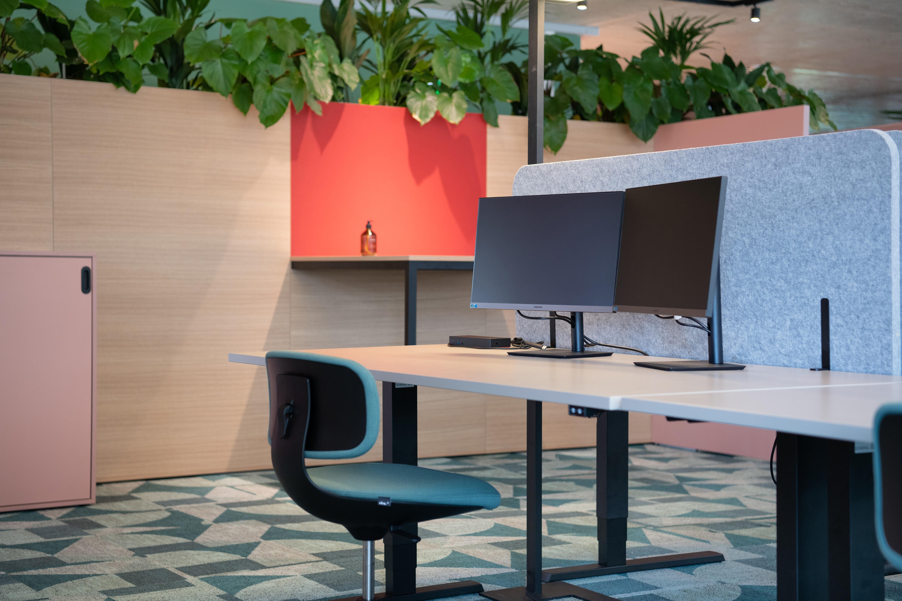 Acoustic Desk Dividers