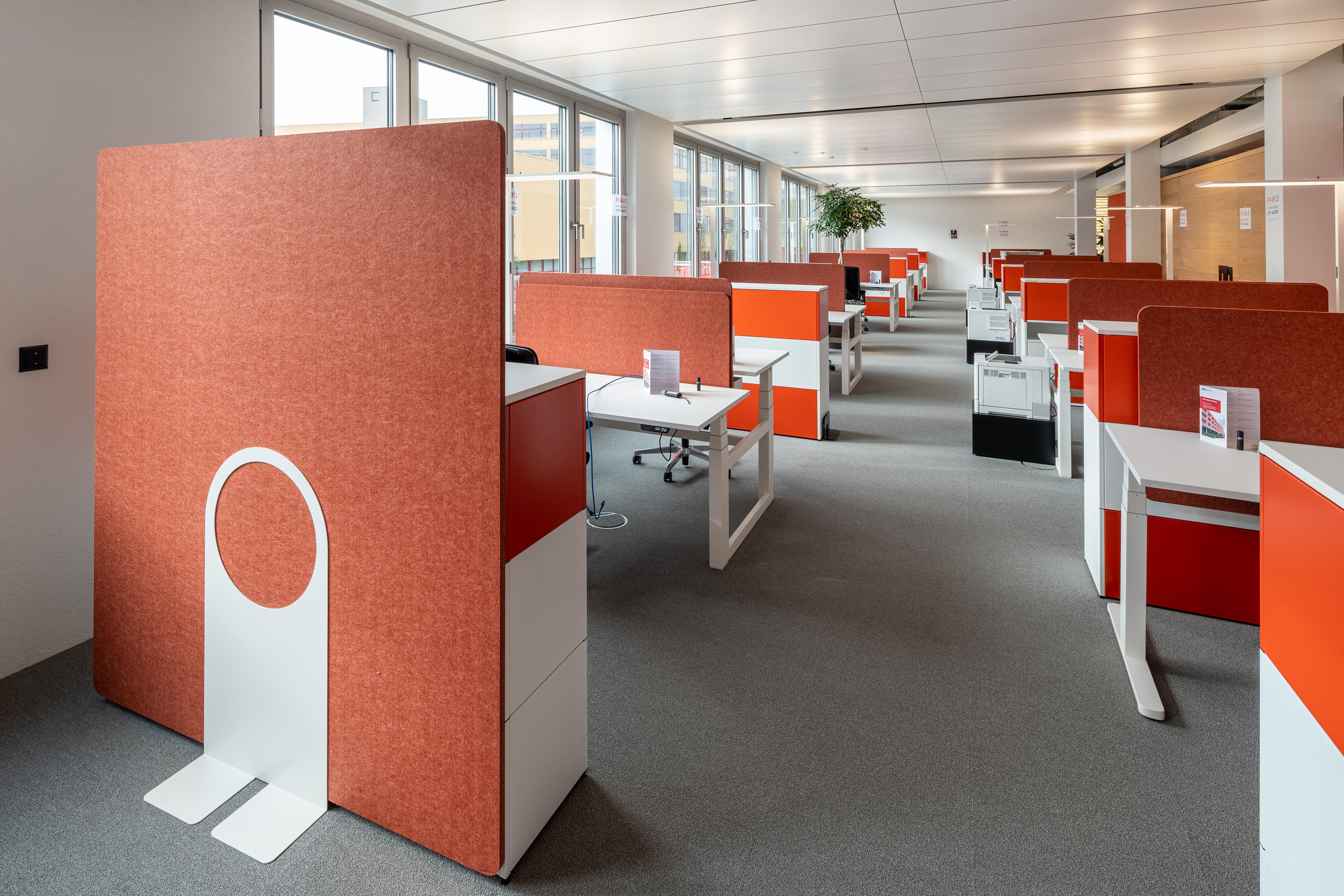 Acoustic Desk Dividers