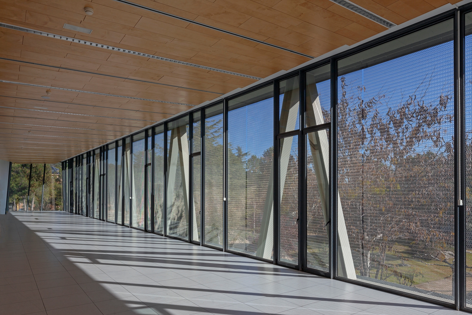 Architectural Wire Mesh Model at UDIMA University