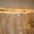 Ovalín de madera petrificada