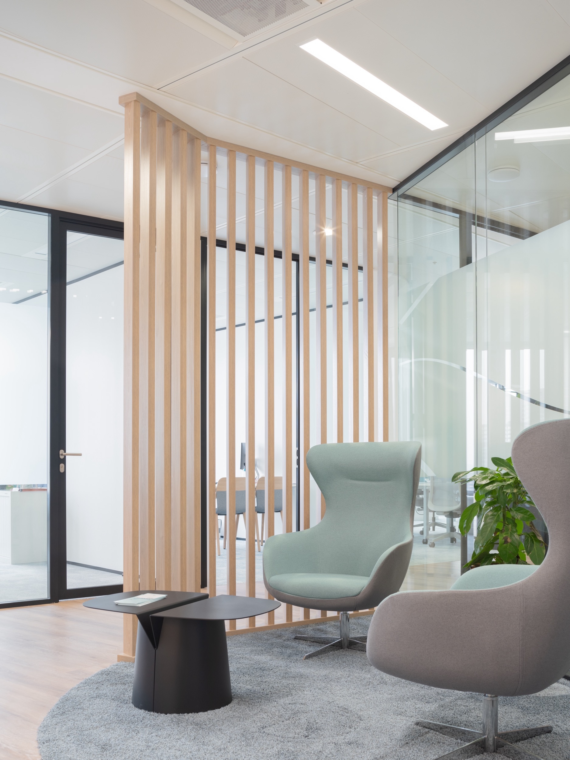 Steel Door Handles for La Tour Alto Offices