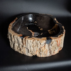 Ovalín de madera petrificada con fondo negro