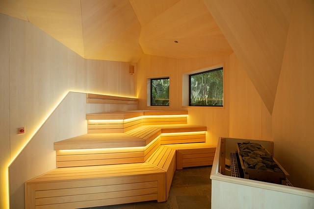 Abstracto sauna with veneer ceiling